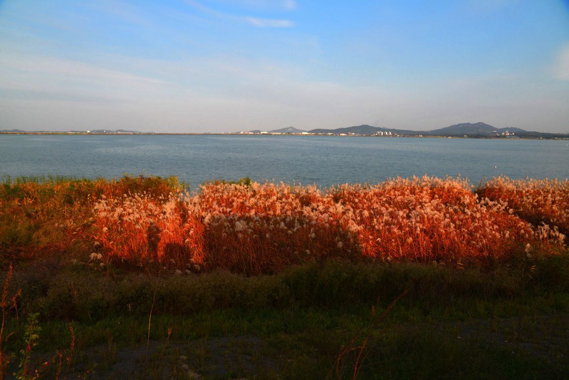 KJS_5918.jpg