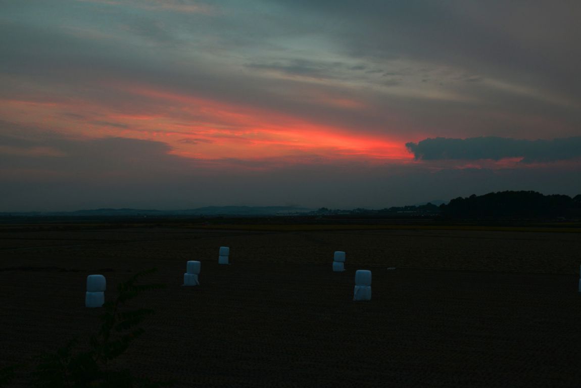 KJS_5943.jpg
