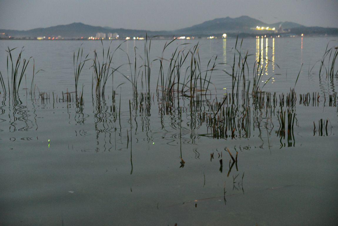 KJS_5946.jpg