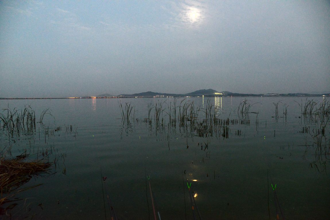 KJS_5945.jpg