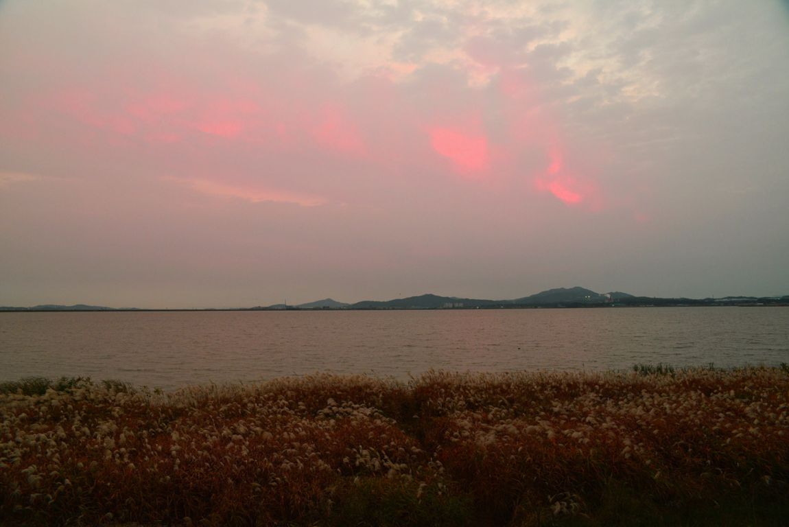 KJS_5974.jpg