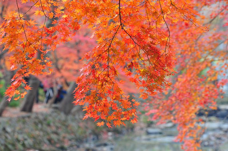 K12_7589.jpg