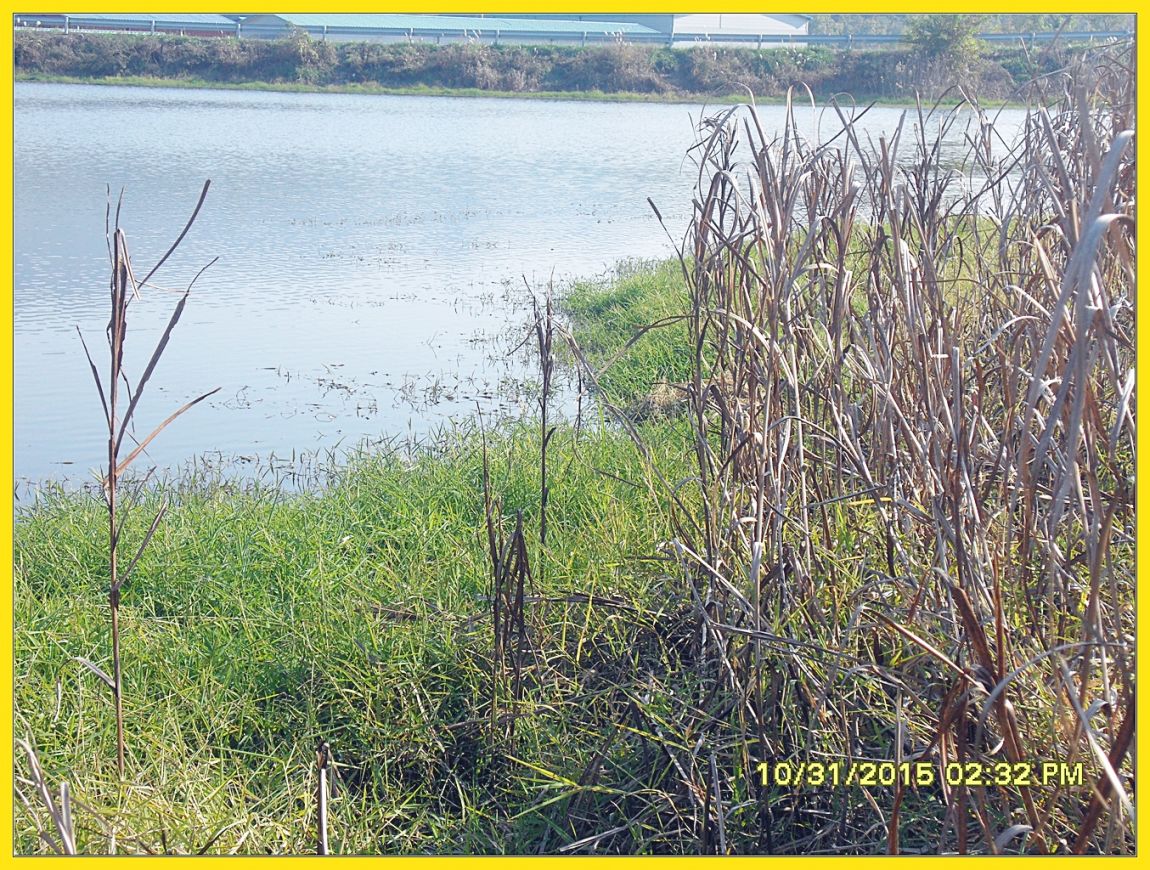 SDC17539.jpg