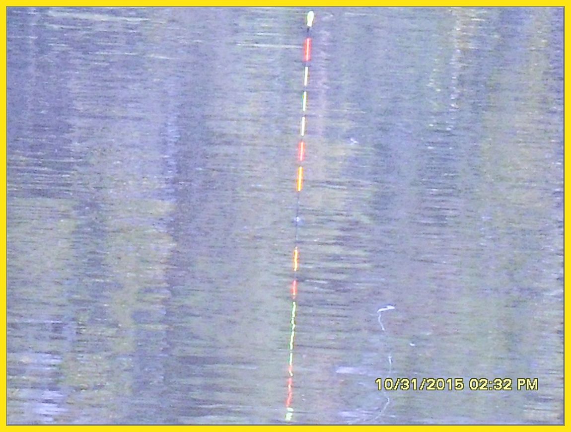 SDC17542.jpg