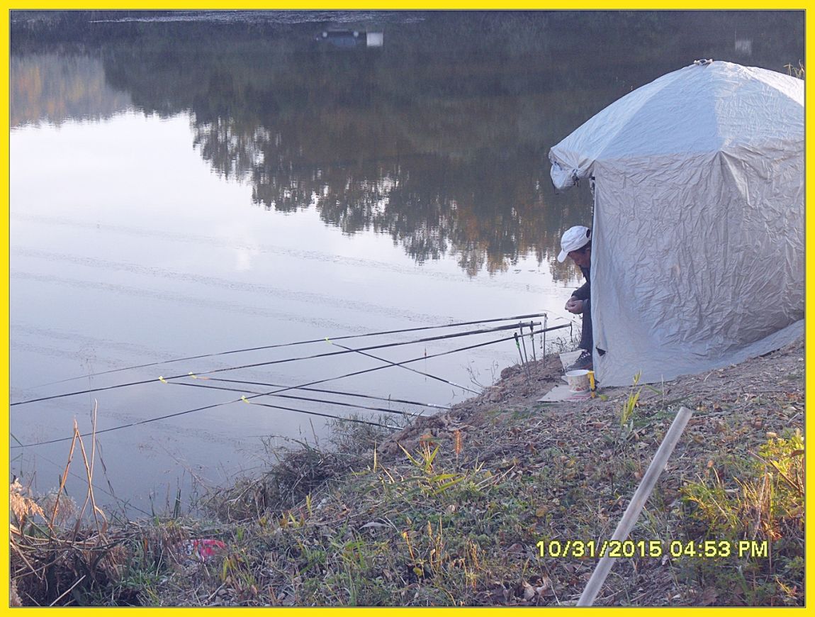 SDC17558.jpg