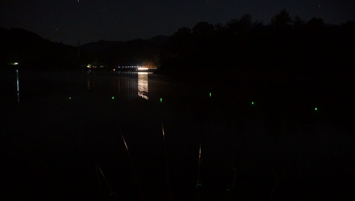 DSC02845.JPG