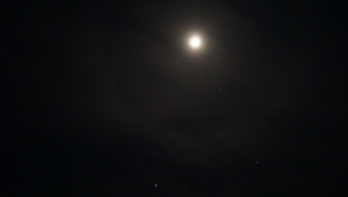 DSC02897.JPG