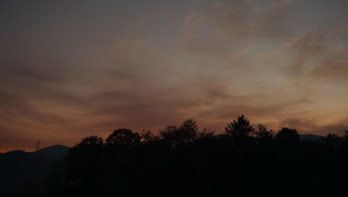 DSC02913.JPG