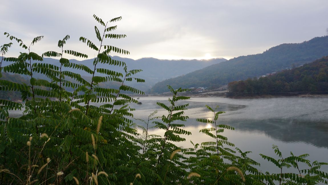DSC02998.JPG