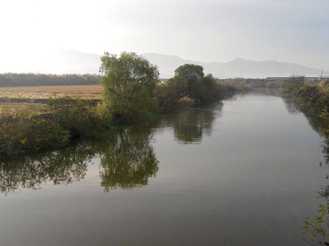 2015-11-01 08.19.45.jpg