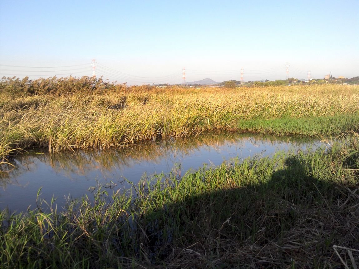 2015-10-31 16.24.25.jpg