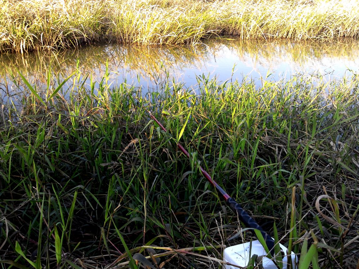 2015-10-31 16.24.36.jpg