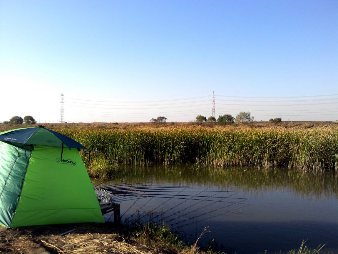 2015-10-31 15.57.33.jpg