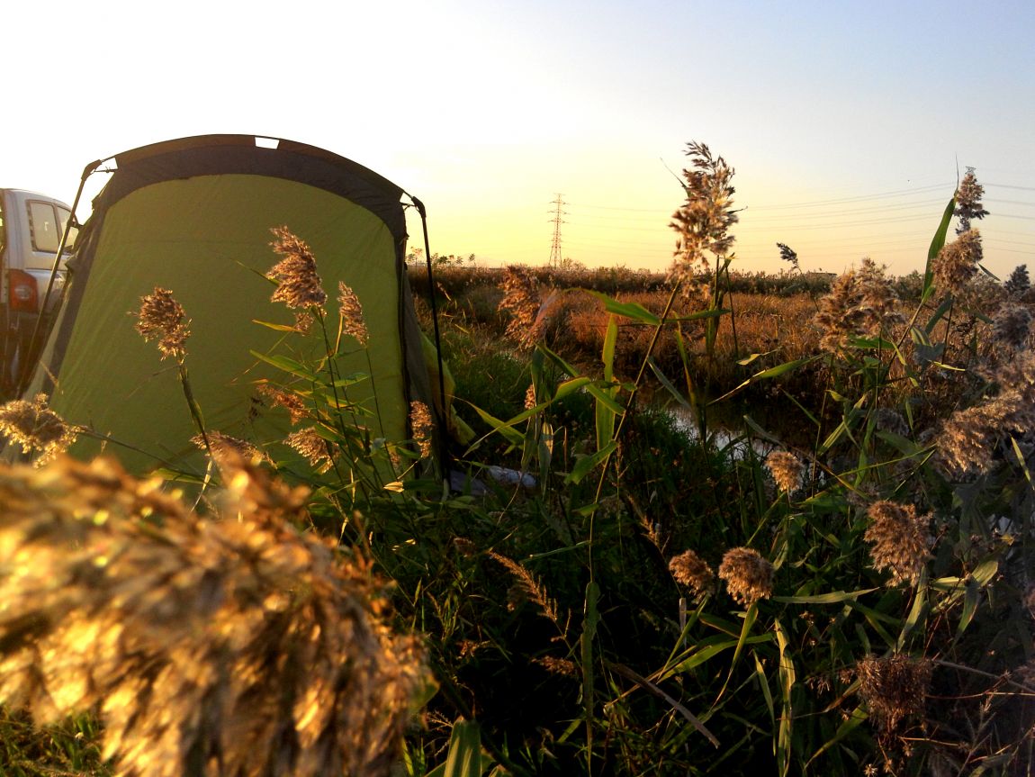 2015-10-31 17.04.58.jpg