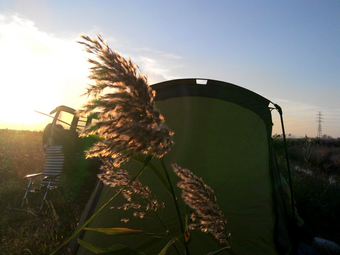 2015-10-31 17.06.02.jpg