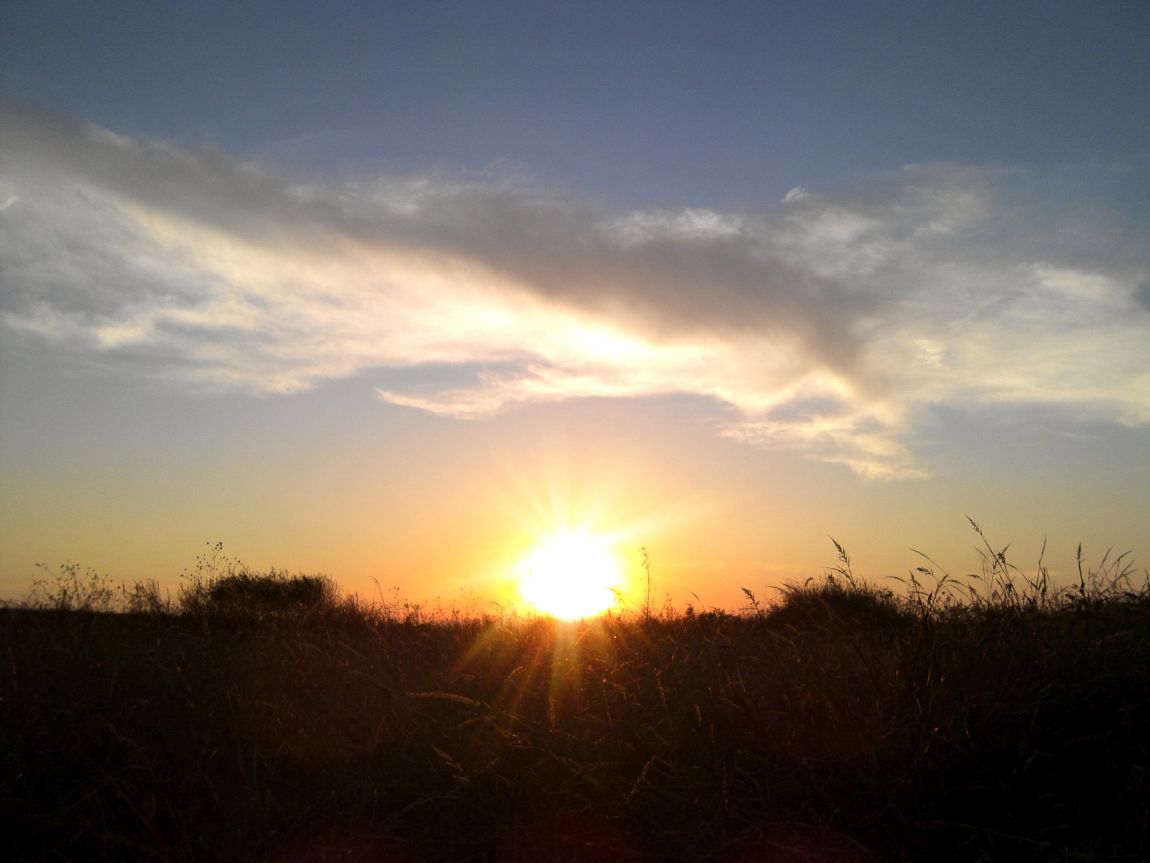 2015-10-31 17.19.jpg