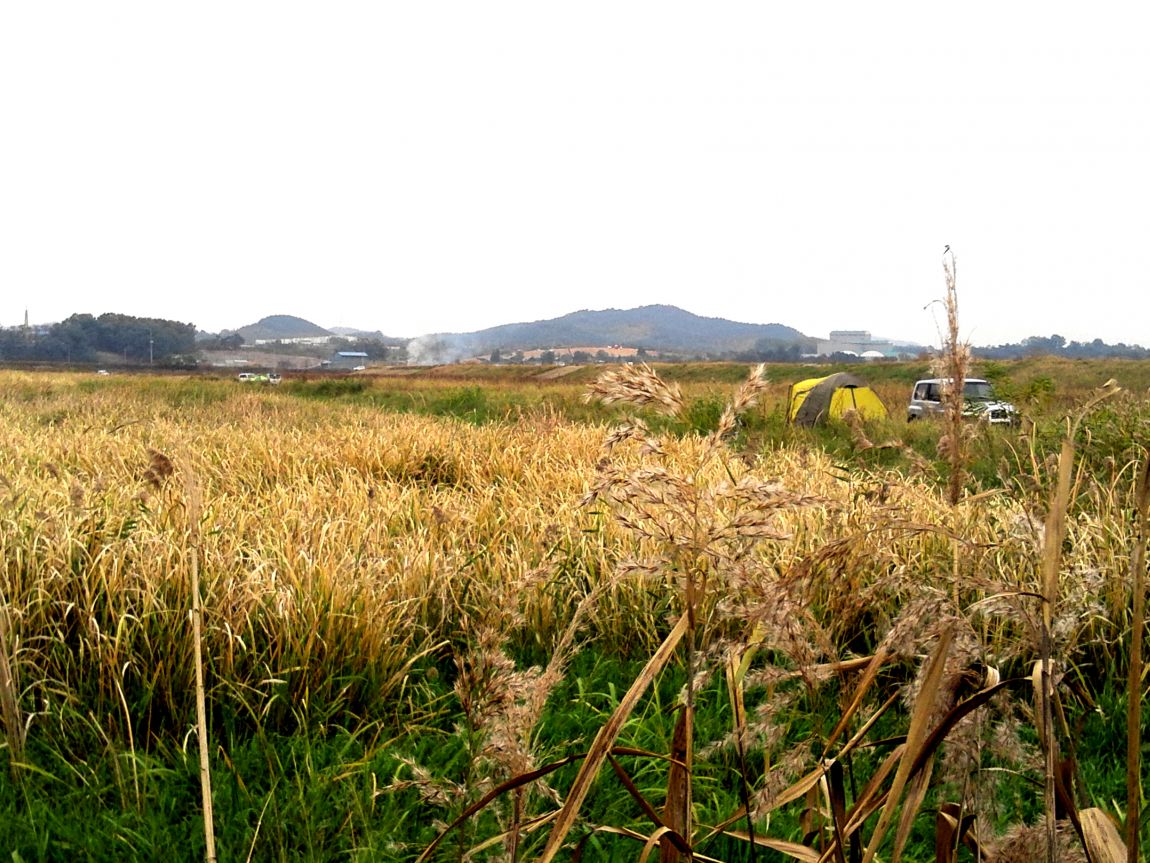 2015-11-01 14.52.19.jpg