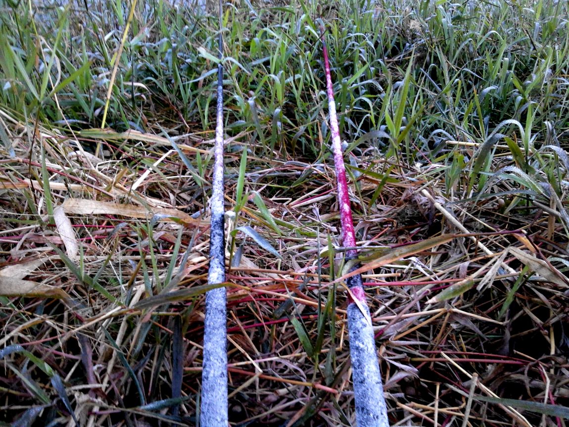 2015-11-01 06.54.09.jpg