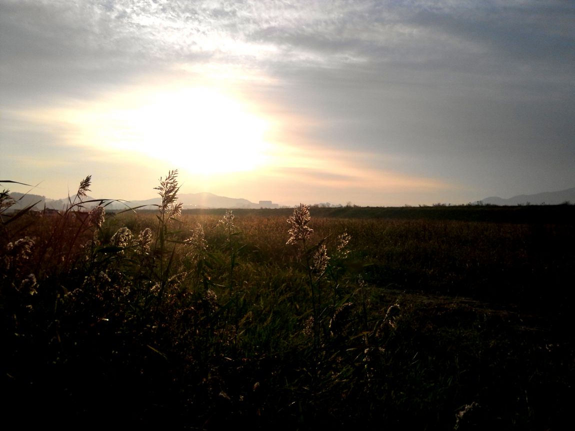 2015-11-01 07.41.10.jpg