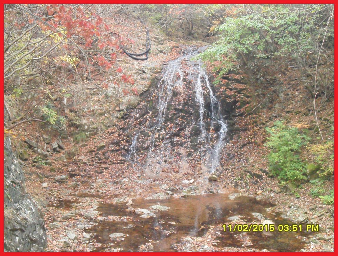 SDC17603.jpg