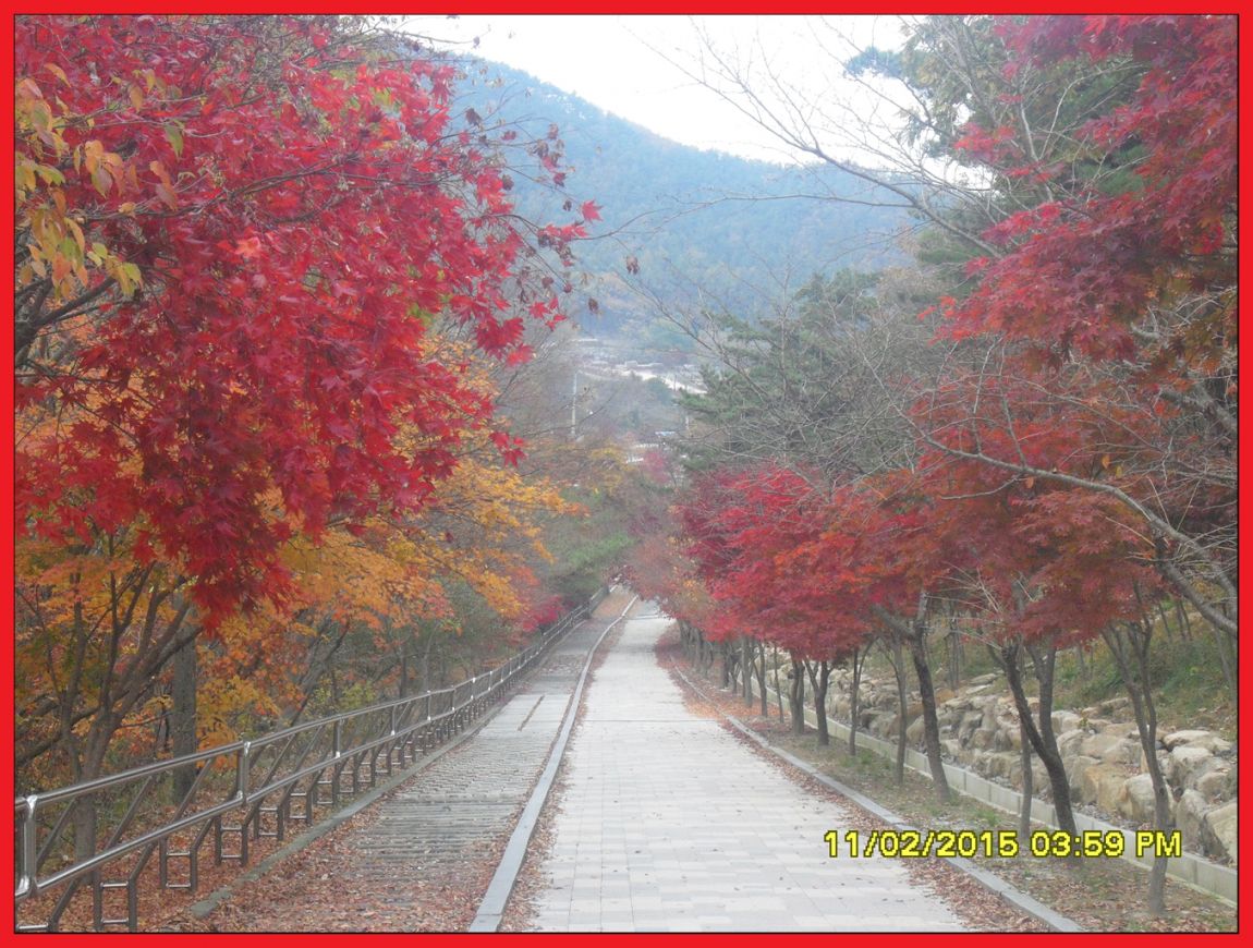 SDC17605.jpg