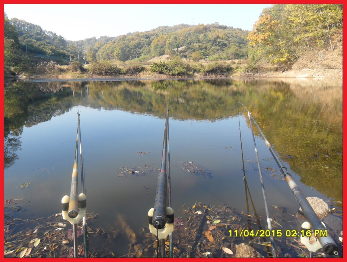 SDC17607.jpg