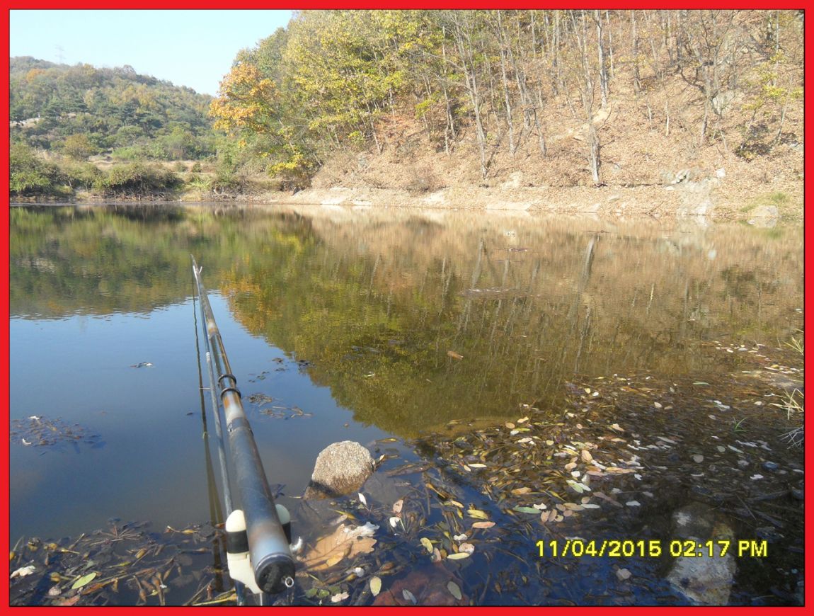 SDC17609.jpg