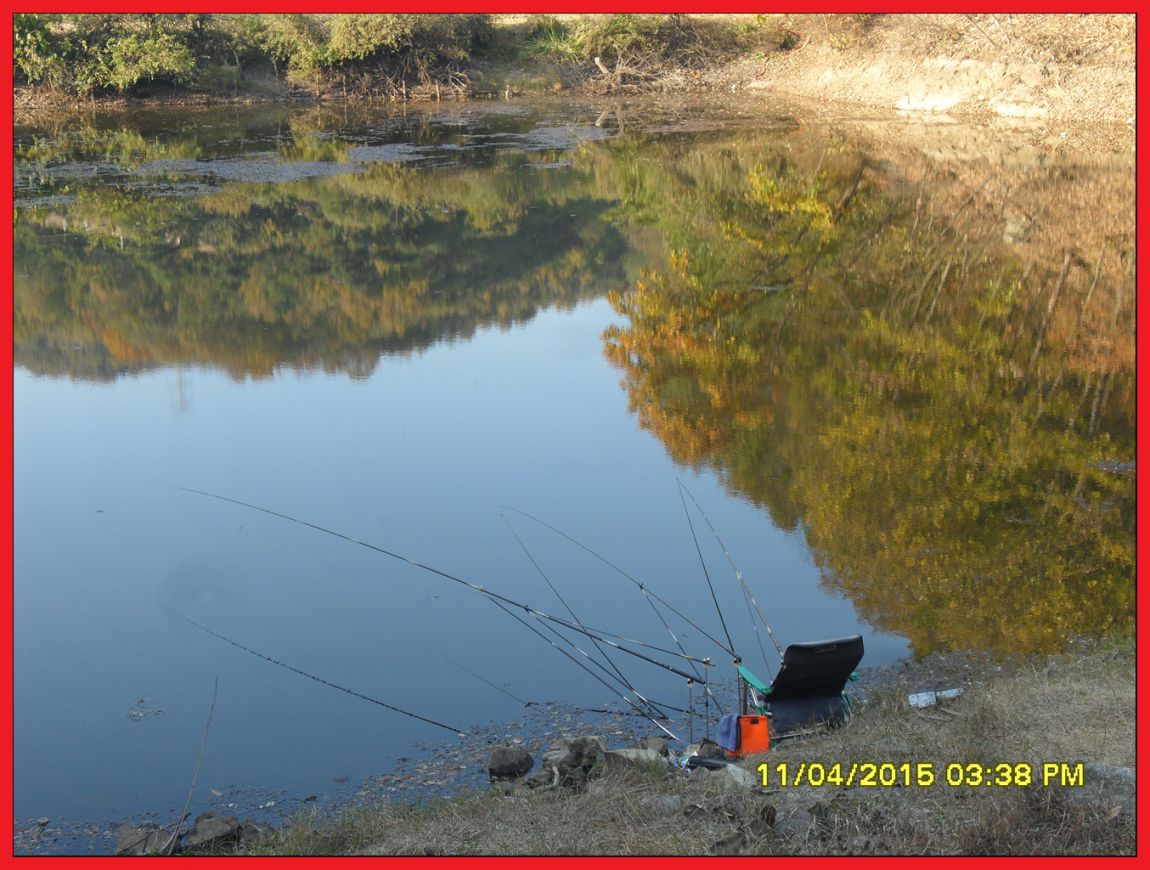 SDC17611.jpg