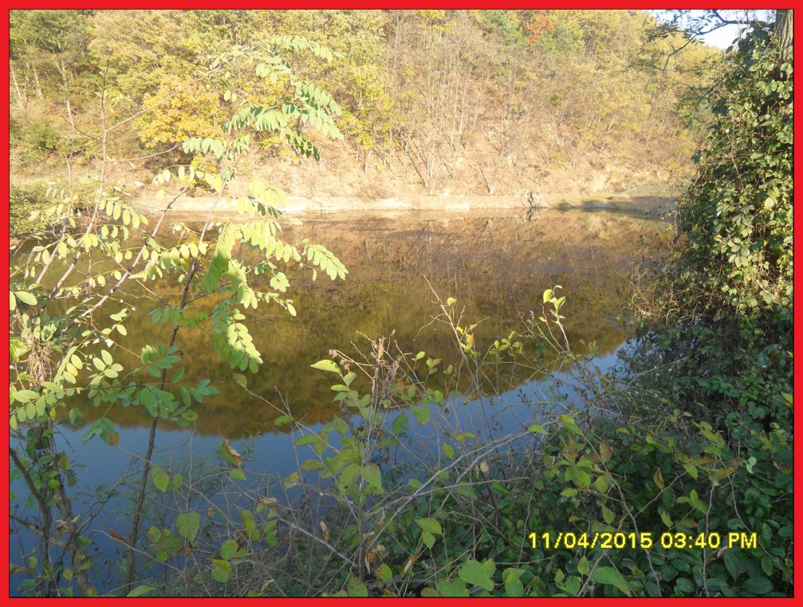 SDC17612.jpg