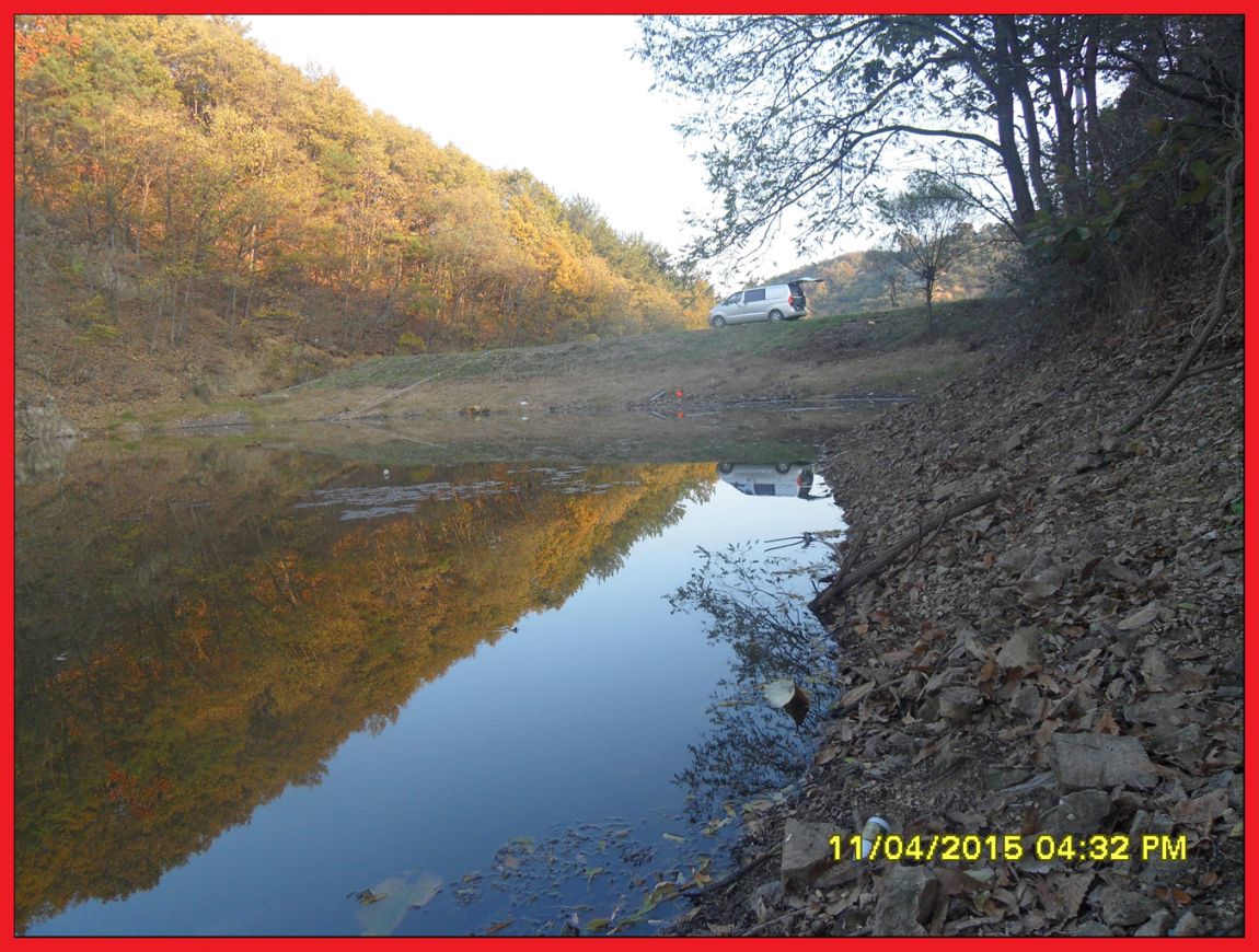 SDC17614.jpg