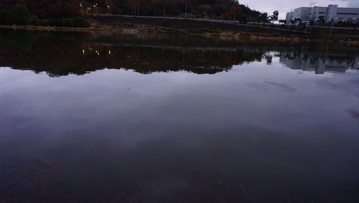 DSC03744.JPG