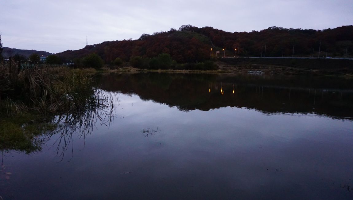 DSC03745.JPG