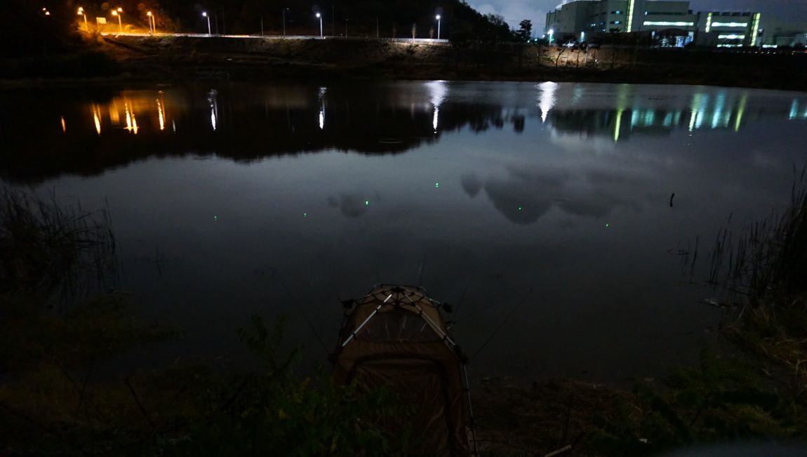 DSC03750.JPG