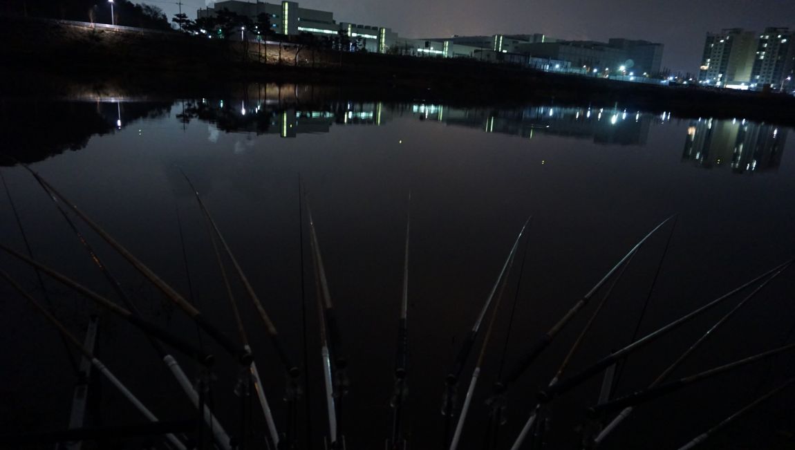 DSC03786.JPG