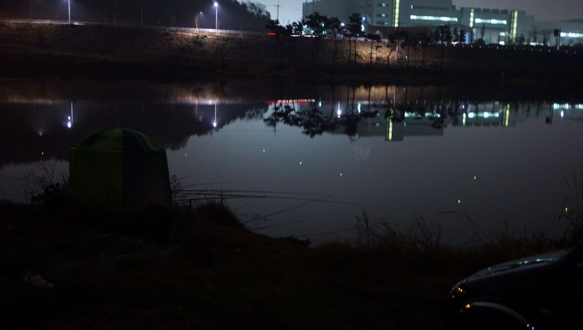 DSC03793.JPG