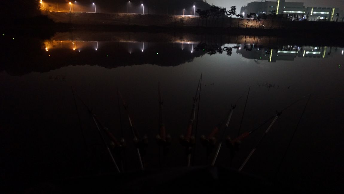 DSC03794.JPG