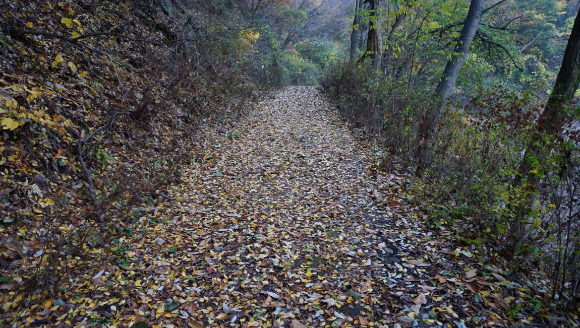 DSC03914.JPG