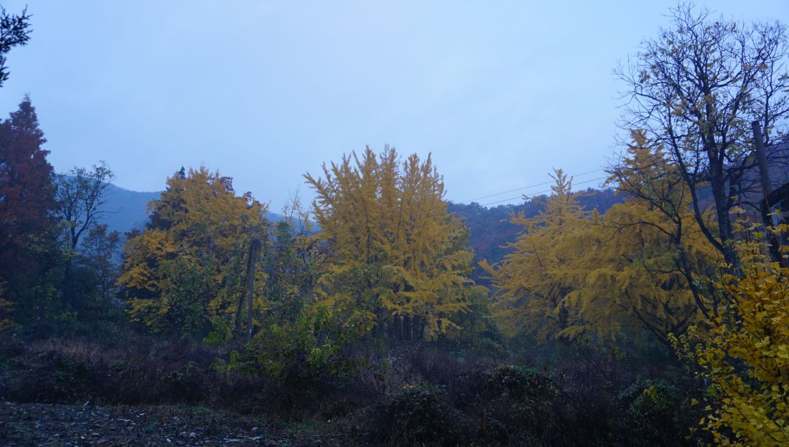 DSC03982.JPG