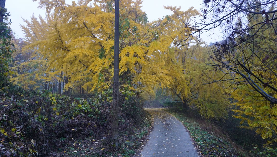 DSC03983.JPG