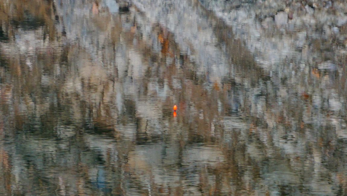 DSC04014.JPG