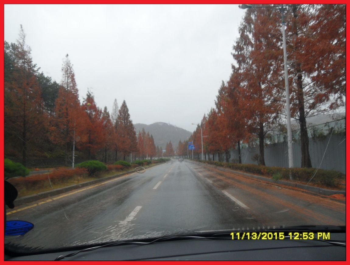 SDC17715.jpg