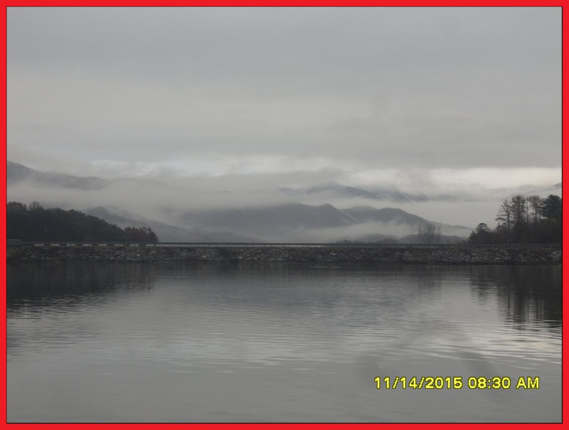 SDC17723.jpg