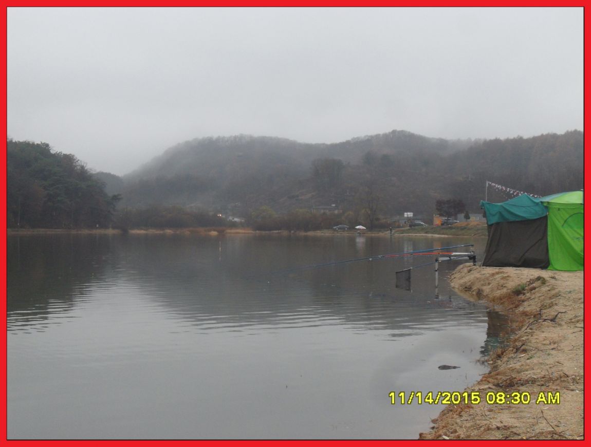 SDC17724.jpg