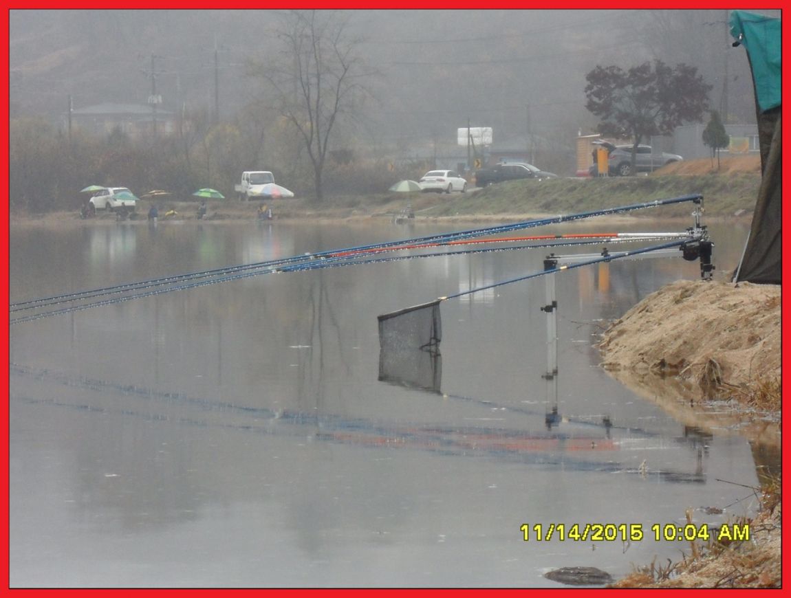 SDC17727.jpg