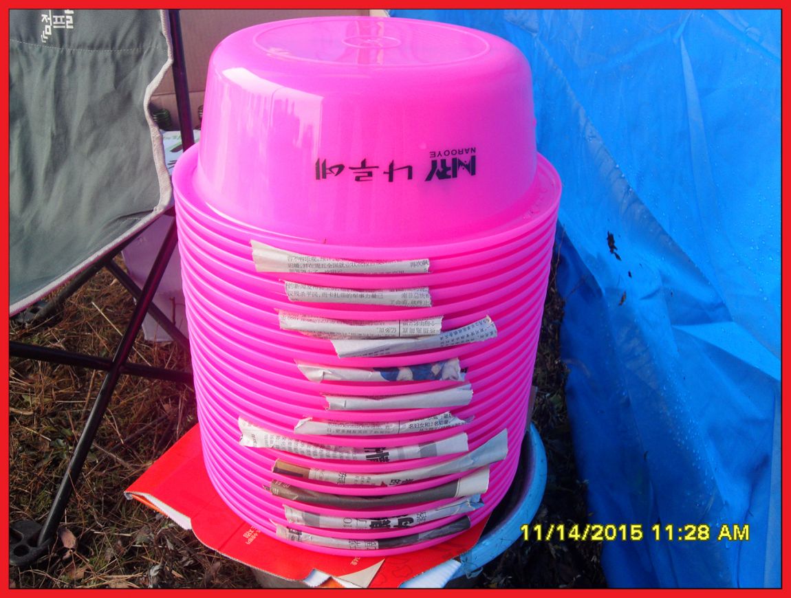 SDC17731.jpg