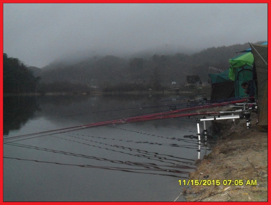 SDC17746.jpg