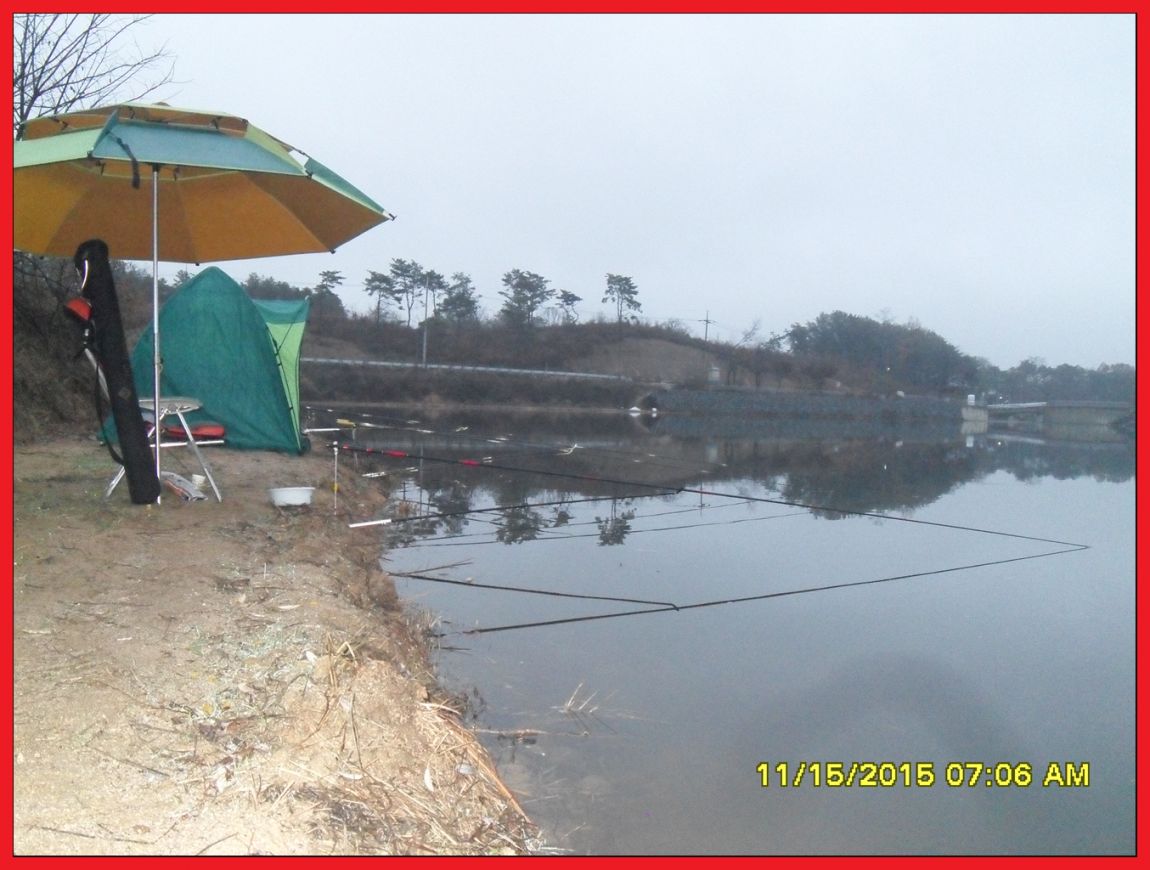 SDC17747.jpg