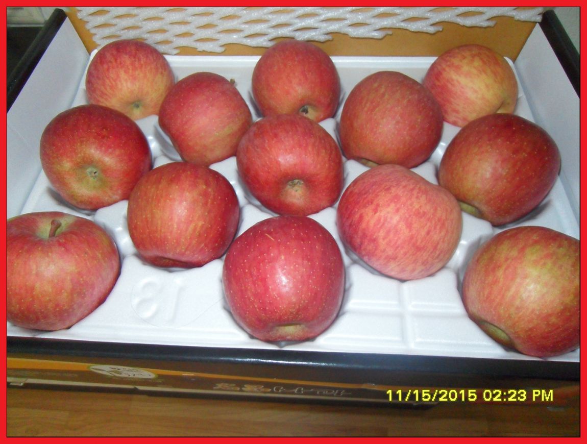 SDC17767.jpg