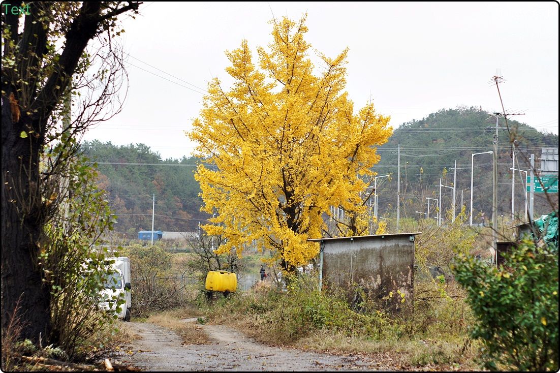 20.JPG
