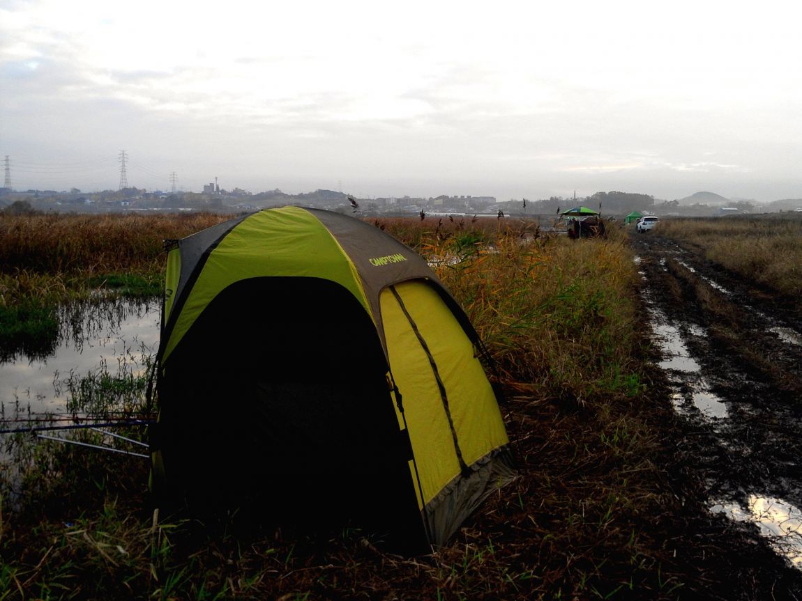 2015-11-15 07.44.16.jpg